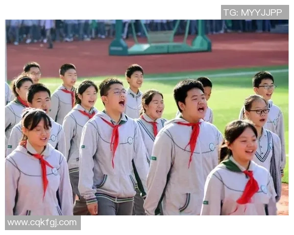 南京排球队的拼搏历程与荣耀时刻全景纪实