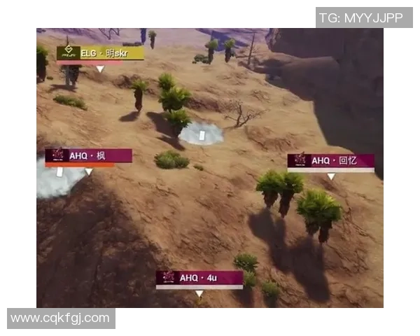 和平精英巨献：深入解析FPX团队协作背后的成功秘诀与策略